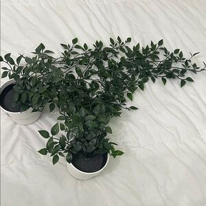 IKEA Faux Florals in White Pots